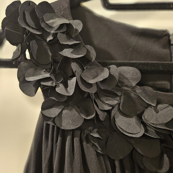 Laura Black tulle gown - Picture 4 of 13